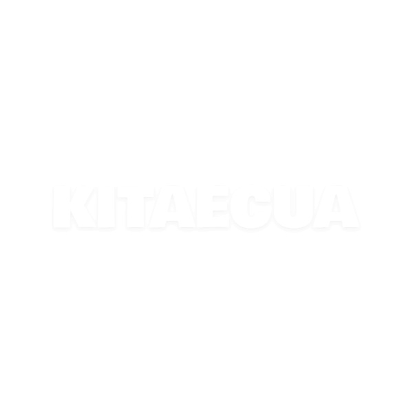 Проставки увеличения клиренса задние (ком-кт 2 шт) на Geely MK2 (1014001676-PS)
