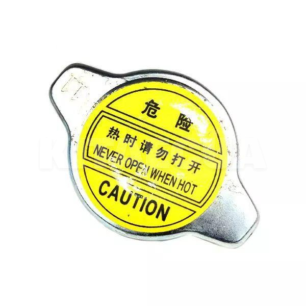 Кришка радіатора PREMIUM на TIGGO 3 (T11-BJ1301111)