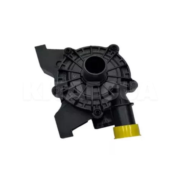 Насос циркуляции охлаждающей жидкости BYD на BYD Yuan Plus (13863253-00) - 3