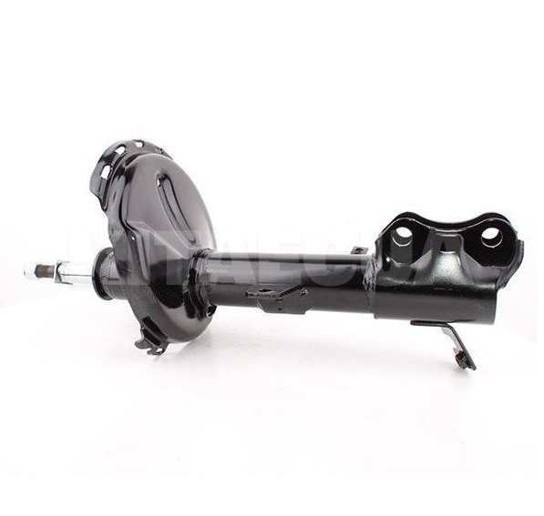 Амортизатор задний правый газомасляный (круглый шток) TASHIKO на BYD S6 (10551877-00-GM) - 2