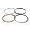 Кольца поршневые +0.25 1.6L ASIAN на Chery AMULET (480EF-1004030BA)