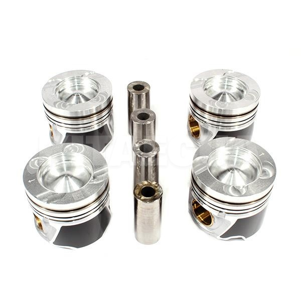 Поршни двигателя STD (с пальцами) 4шт 2.0L (1004400-ED01)