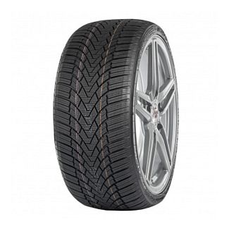 Шина зимова 215/50R17 95H XL Winmaster ProX ARW3 Arivo