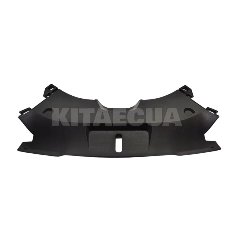 Захисна панель решітки ОРИГИНАЛ на BYD Seal (14103080-00)