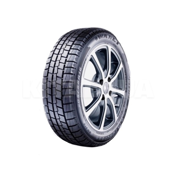 Шина зимова 245/45R18 100S XL NW312 Sunny (2846)