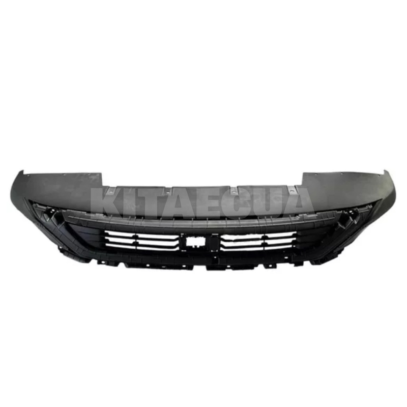 Нижняя часть переднего бампера BYD на BYD EV Yuan Plus (13161539-00)