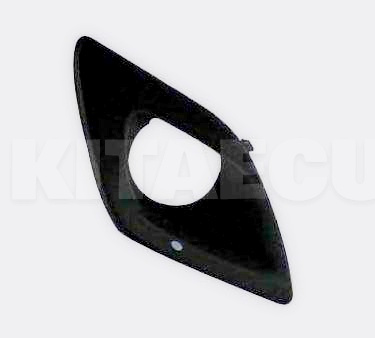 Вставка під протитуманку права на ZAZ FORZA (A13-2803534)