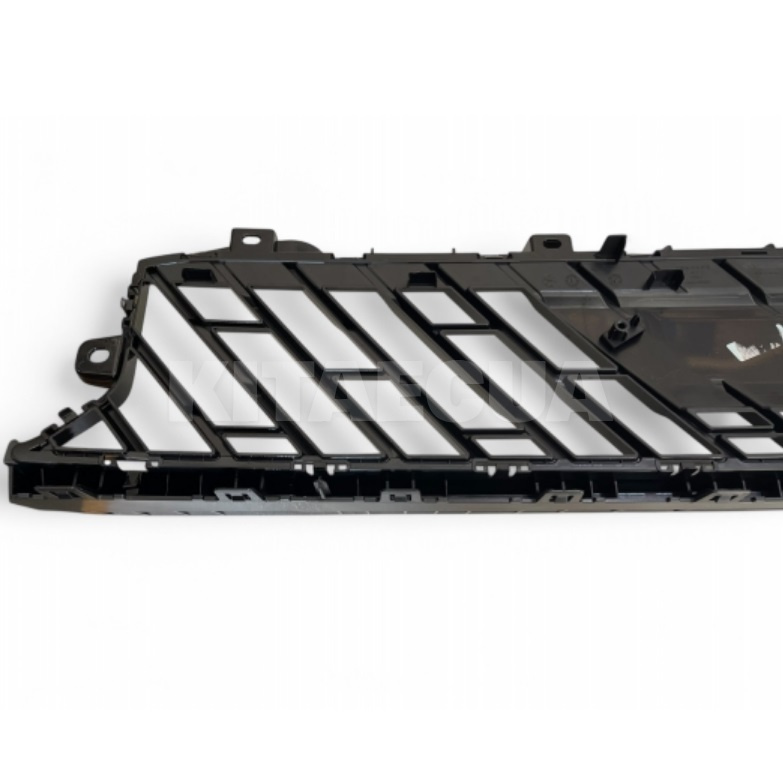 Решетка переднего бампера Zeekr на ZEEKR 001 (6600190690803) - 2