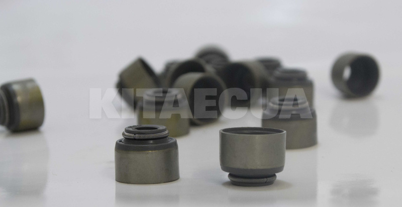 Сальник клапана 2.0L на Great Wall HAVAL H5 (1007100-ED01)