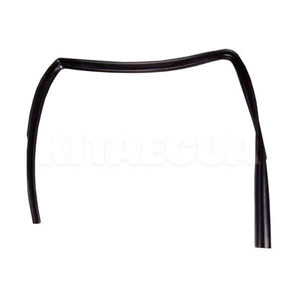 Ущільнювач скла дверей задньої правої ОРИГИНАЛ на Chery BEAT (S185206212)