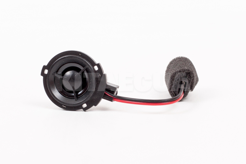 Динамік бічний ОРИГИНАЛ на ZAZ FORZA (S16-7901210) - 3