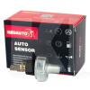 Датчик давления масла REDAUTO на Great Wall HAVAL H3 (S1258A003)