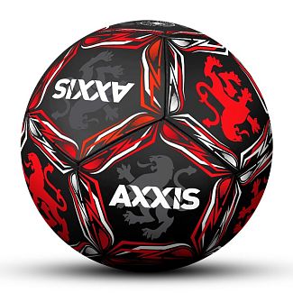 Мяч футбольный 5 размер AXXIS