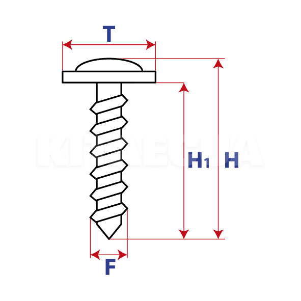 Cаморез с прессшайбой 4.5 x 14.6 мм TORX (18640) - 2