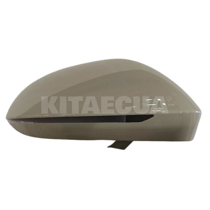 Корпус правого зеркала BYD (SK2F-8202104)